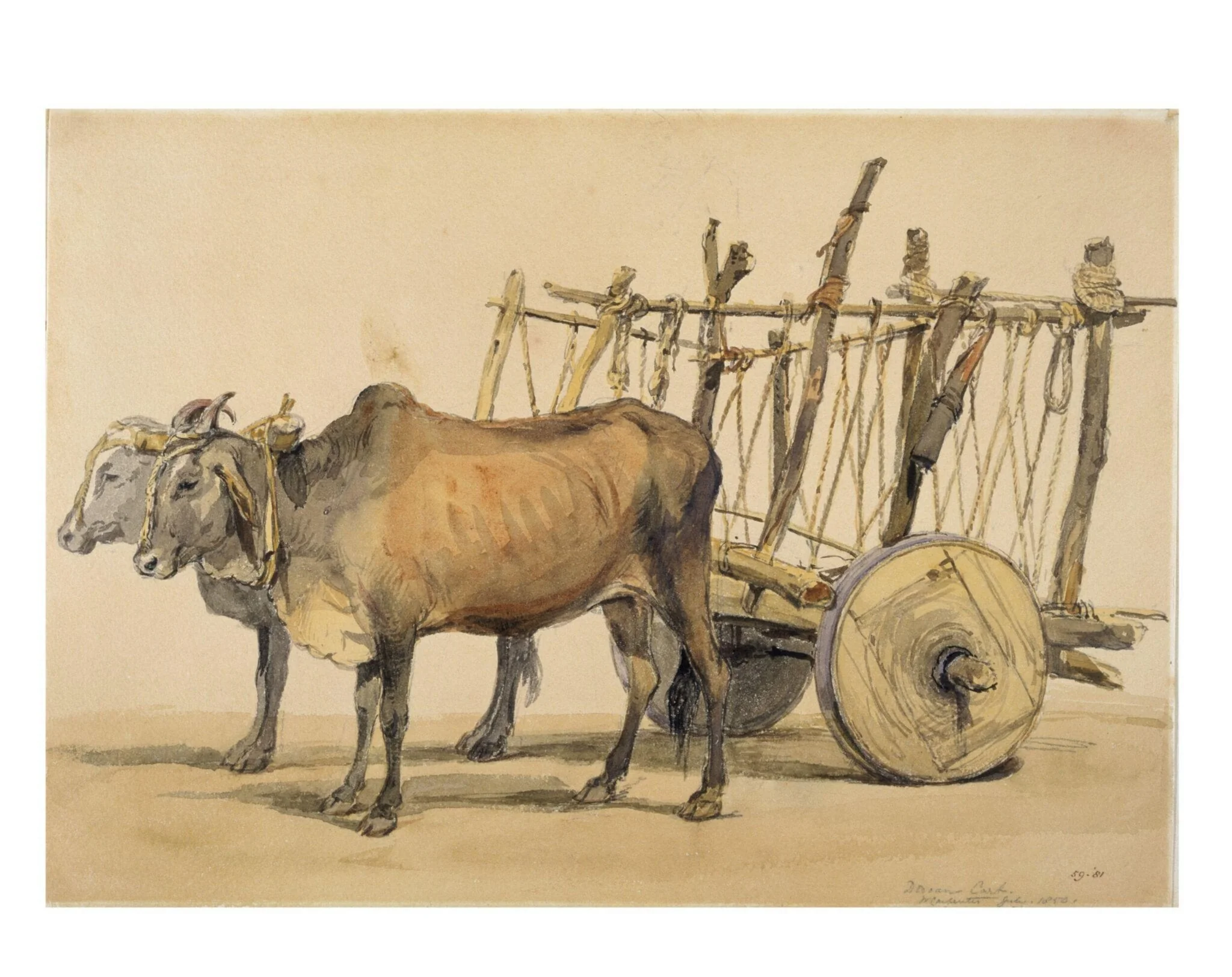Deccani bullock cart