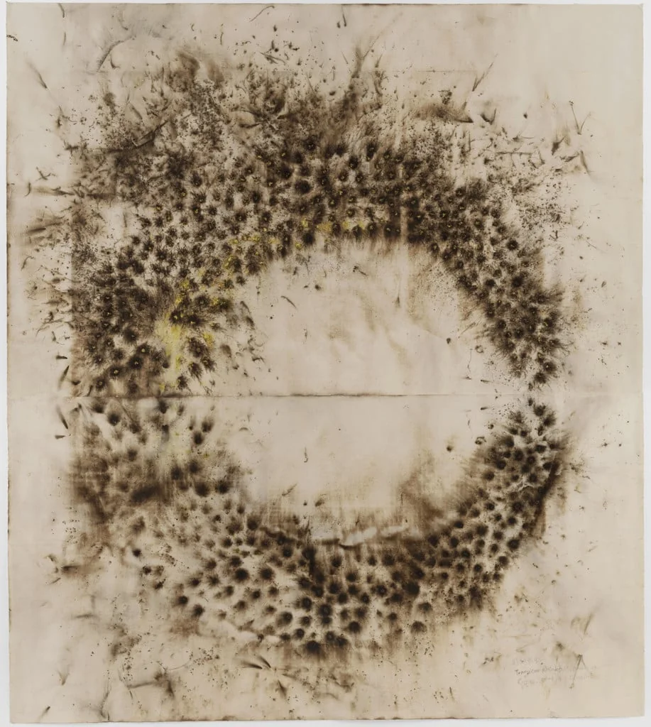 Untitled, by Cai Guo-Qiang, 2003