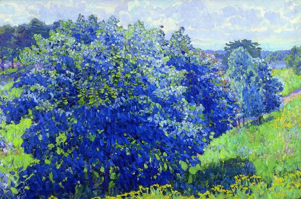 The blue bush