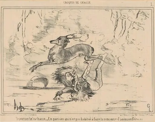 Ouverture de la chasse
