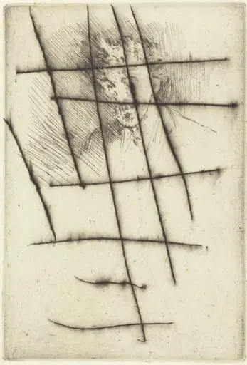 Whistler with the White Lock