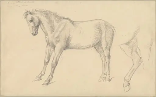 Studies of a Pony