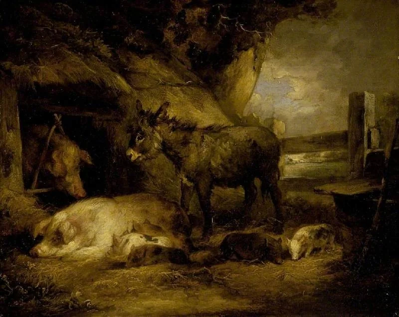 Donkey and pigs