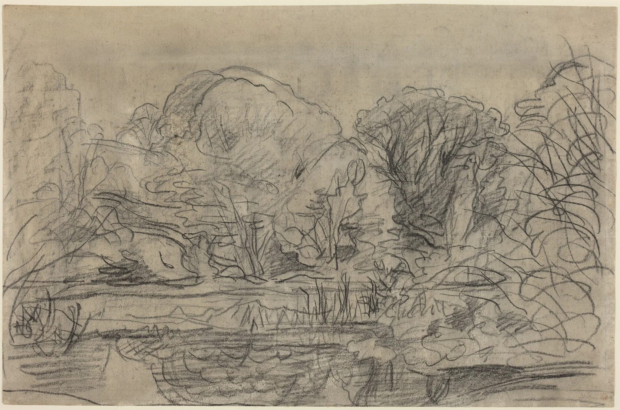 A Woodland Pond