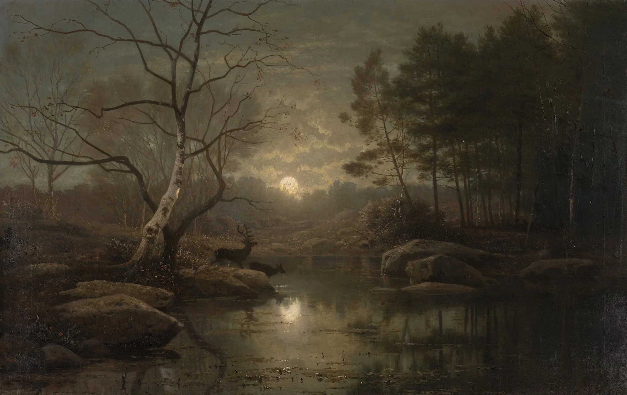 Forest Landscape in the Moonlight, by Georg Saal, unspecified, 1861