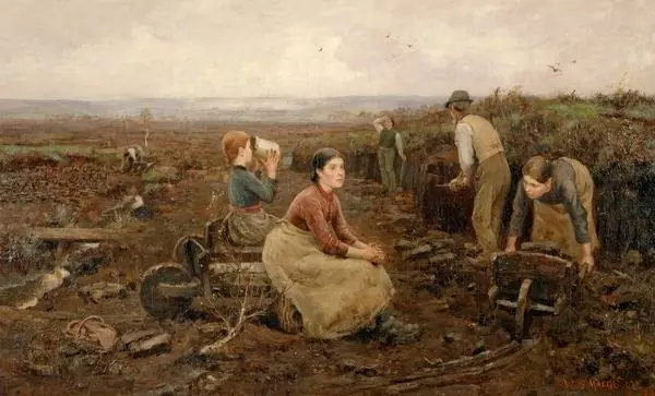 A Galloway Peat Moss