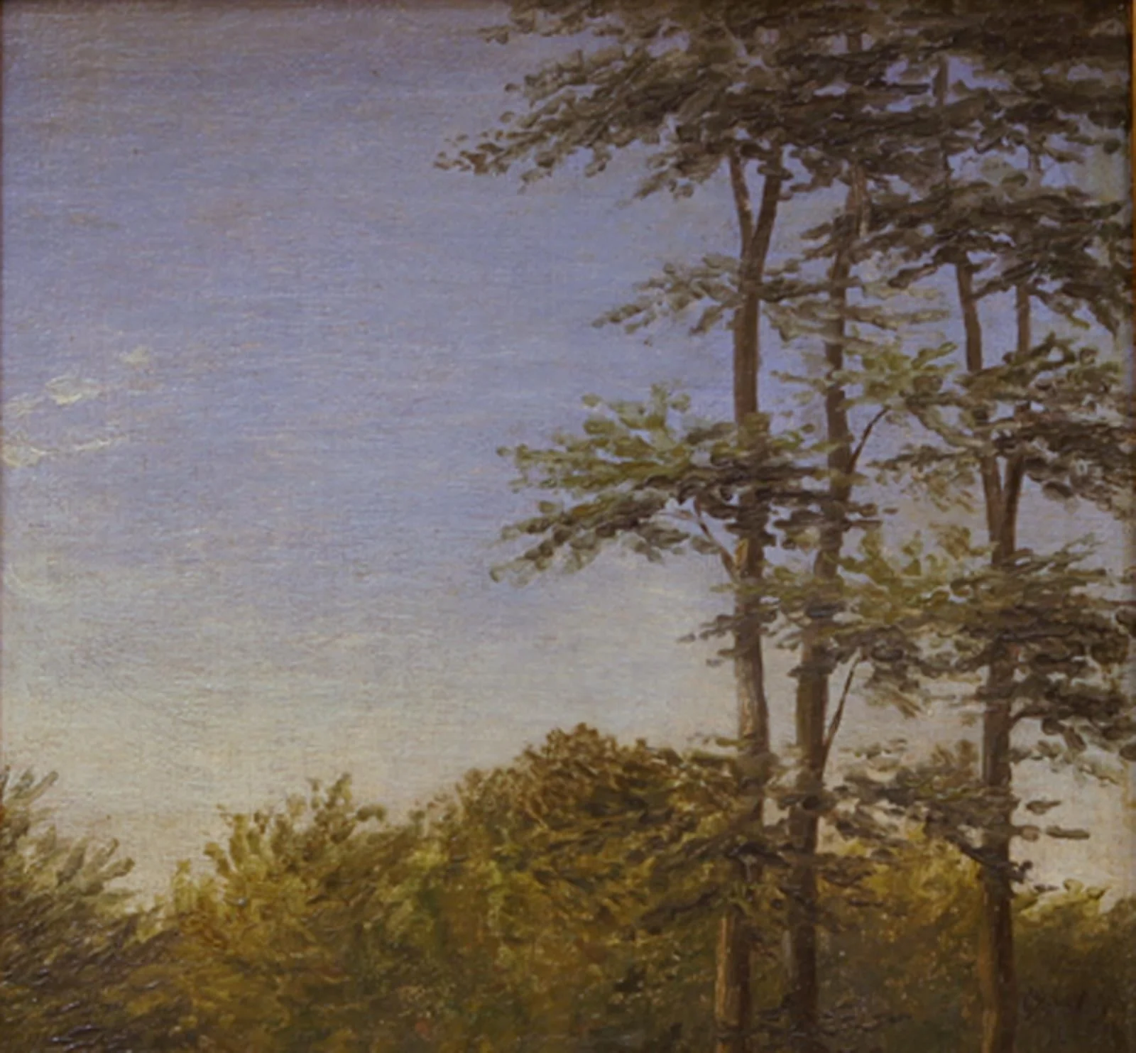 Study of Undergrowth and Tall Trees, Funen, by Unknown, 1846
