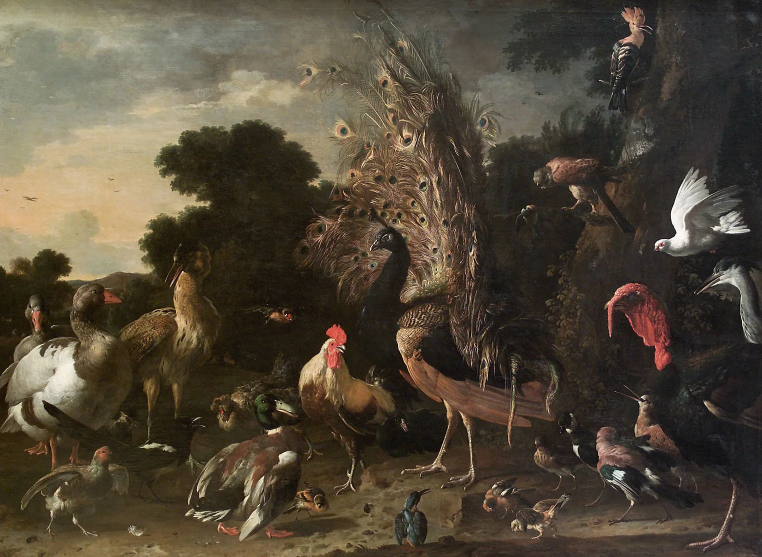 Q27982235, by Melchior d' Hondecoeter, unspecified, 1675