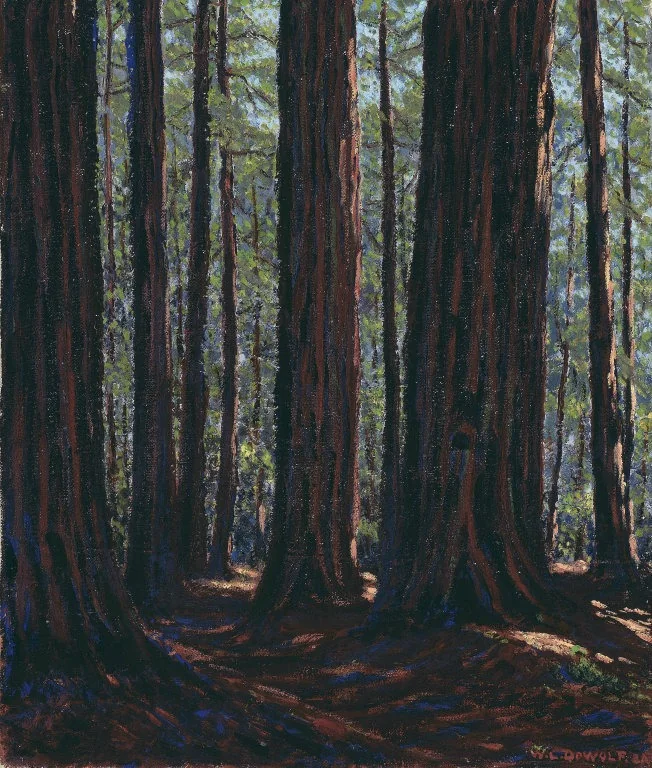 Among the Redwoods, by Wallace Leroy DeWolf, oil, 1920
