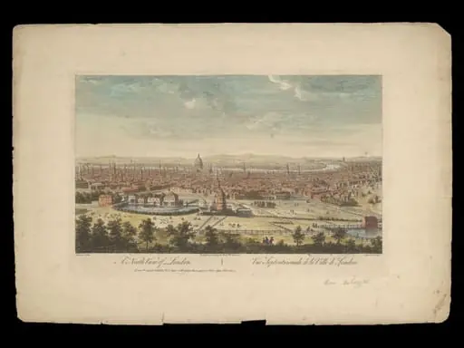 H Beard Print Collection