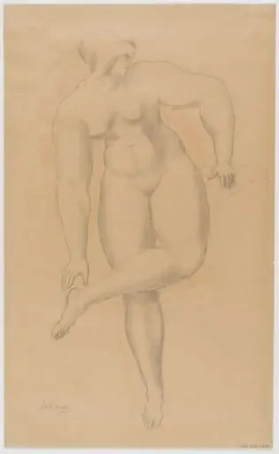 Study of the female nude