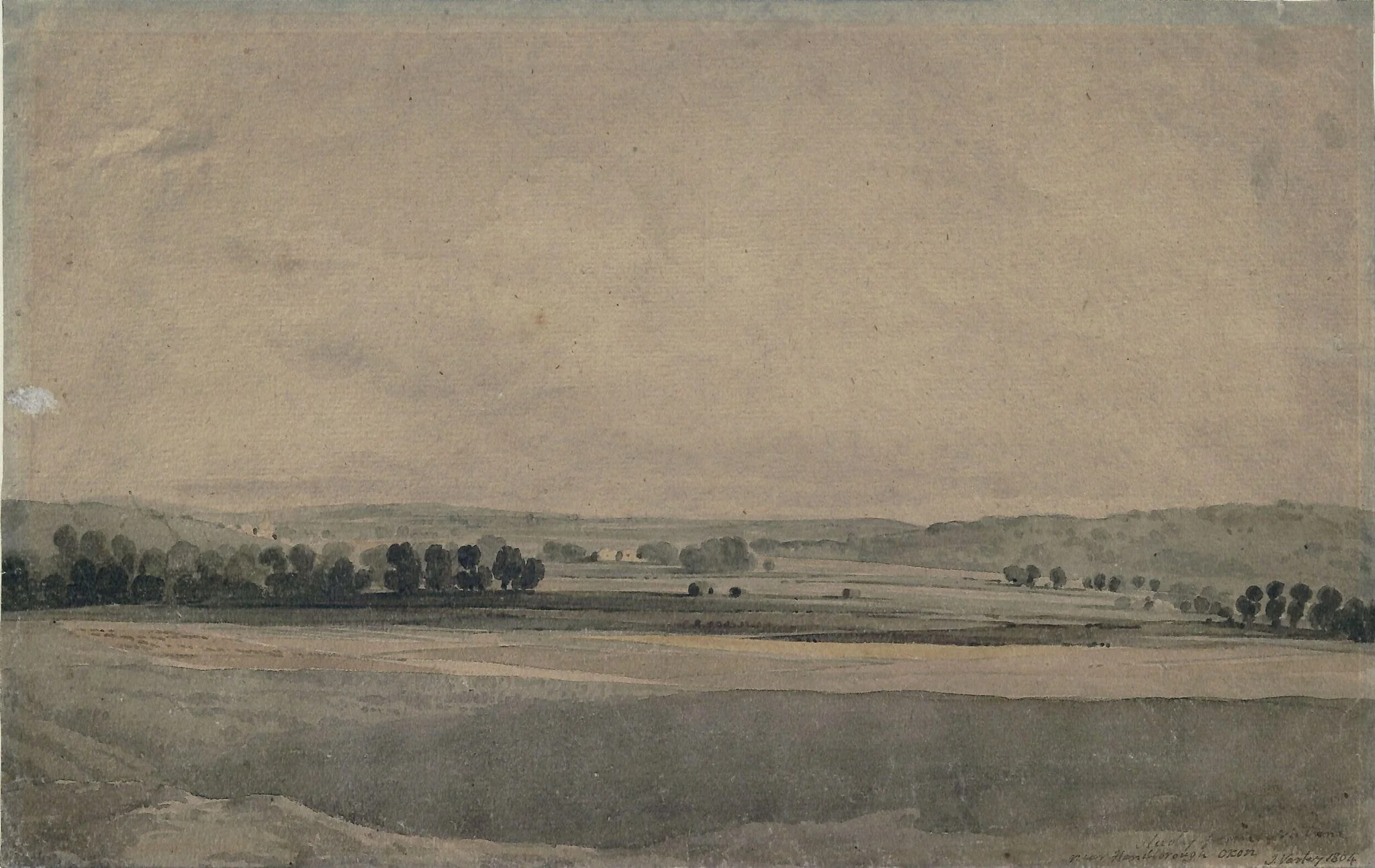 Study from nature near Handborough, Oxfordshire
