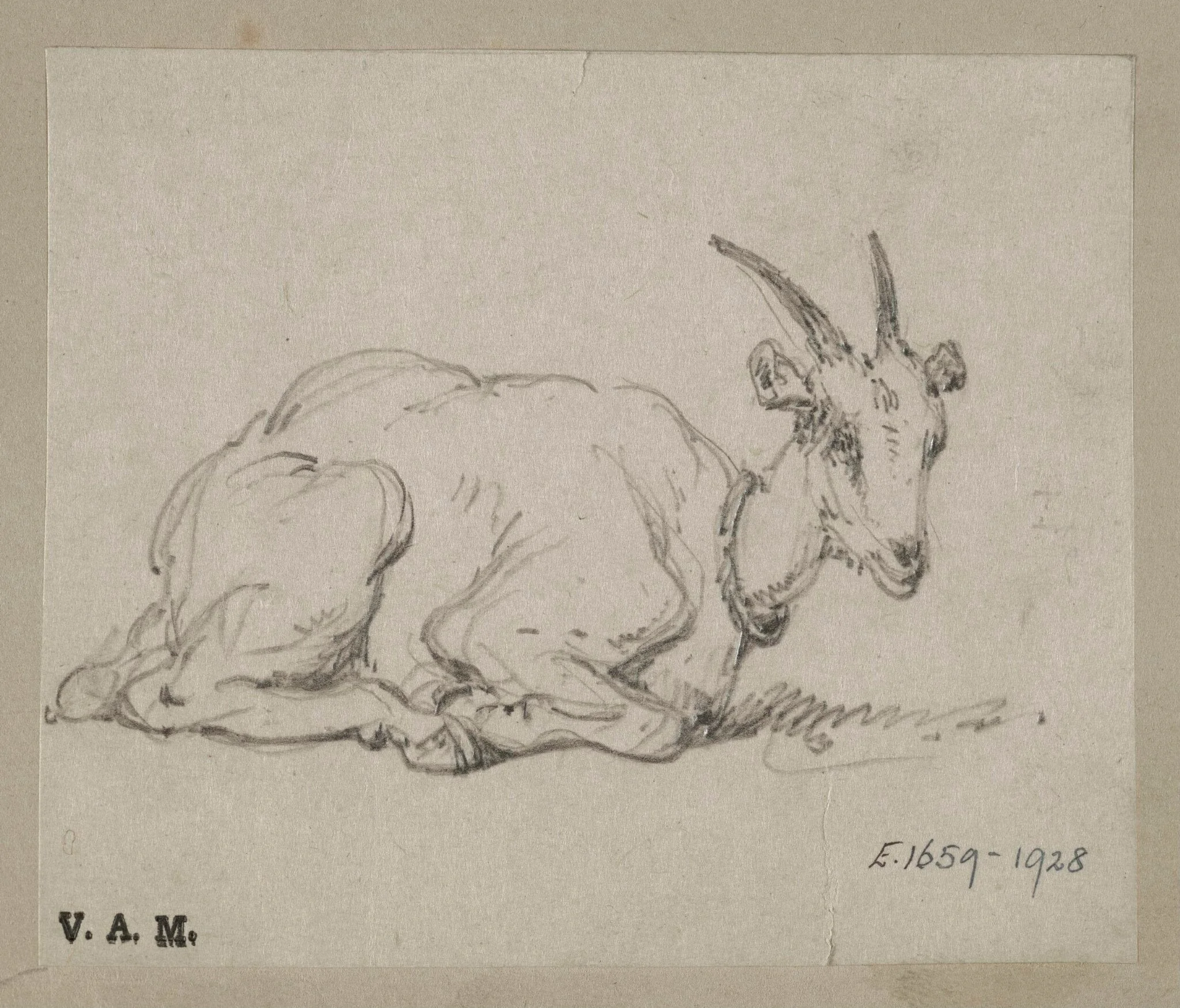 A goat on its haunches, by George Chinnery, 19
