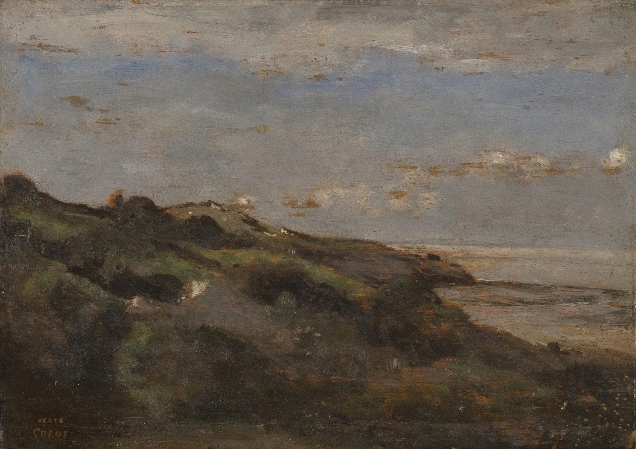 Hilly Coast