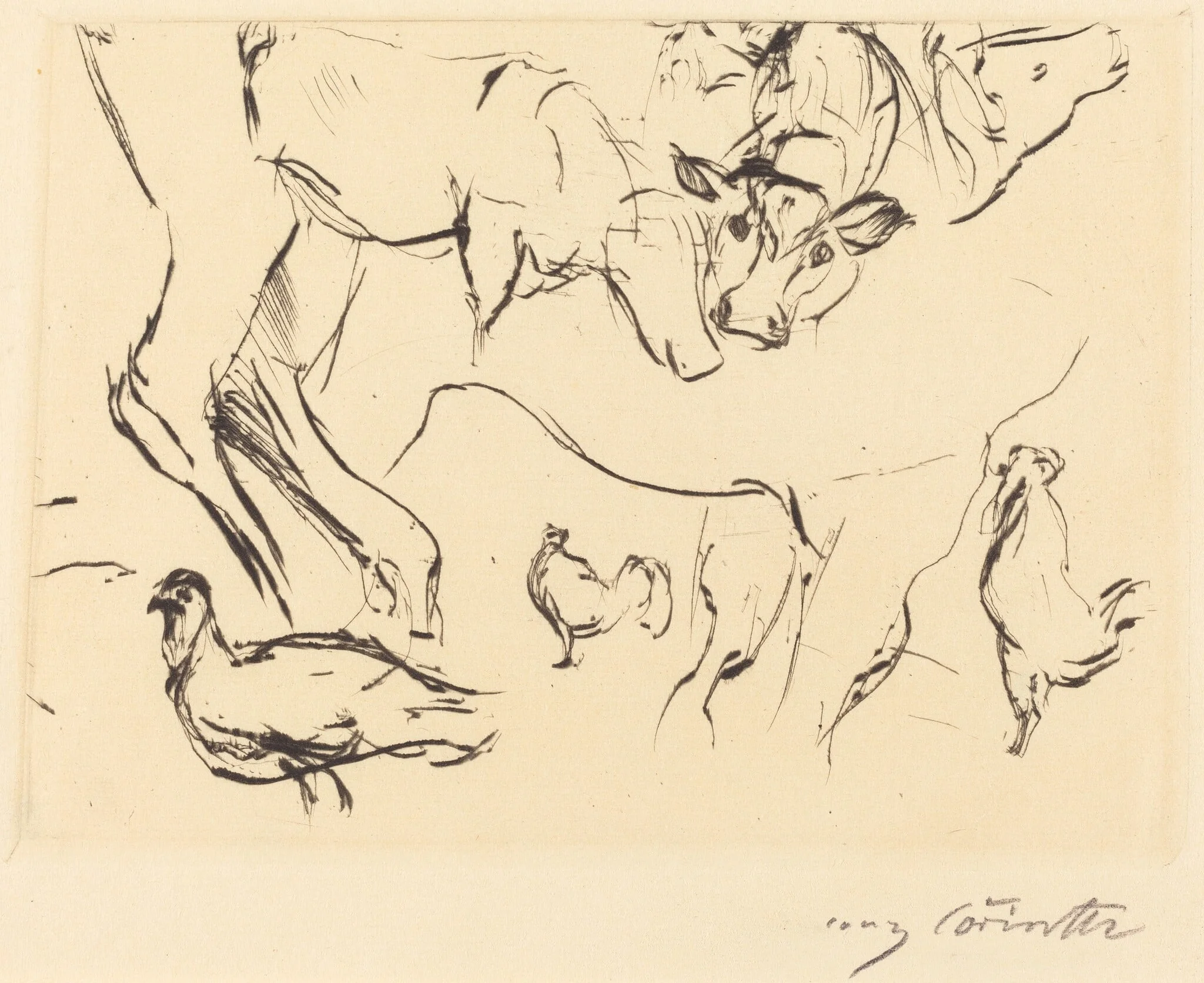 Verschiedene Tierstudien (Animal Studies), by Lovis Corinth, ink, 1917