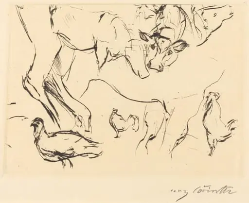 Verschiedene Tierstudien (Animal Studies)