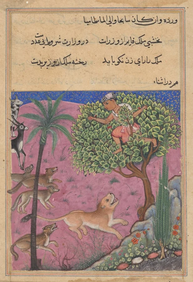 The wolf and the jackal, serving as viziers, instigate the lion who pursues the Brahman up a tree, from a Tuti-nama (Tales of a Parrot): Twenty-first Night, by Unknown, unspecified, 1560