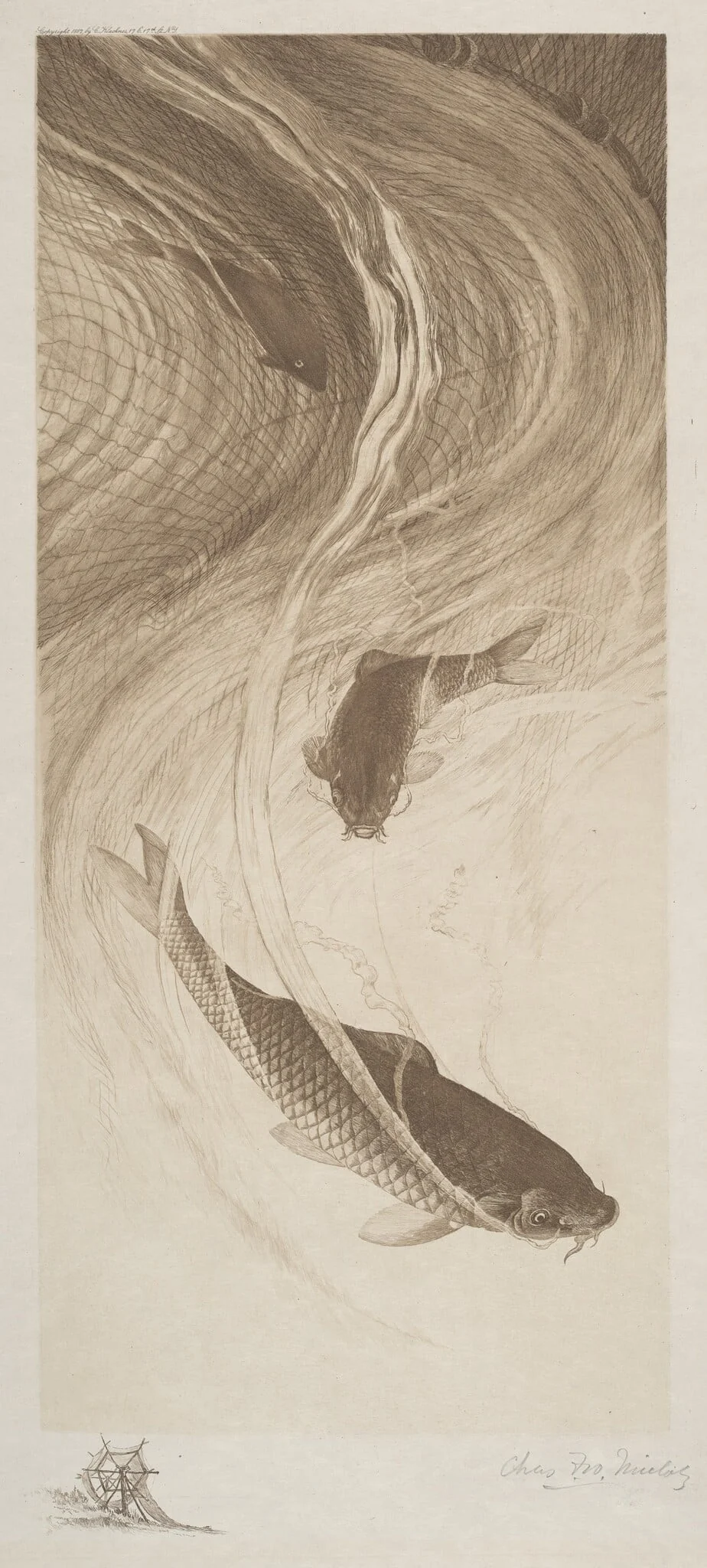 In the Meshes, by Charles Frederick William Mielatz, ink, 1887