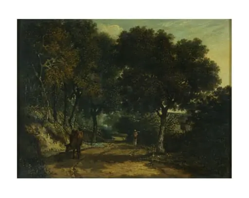 A Shady country road