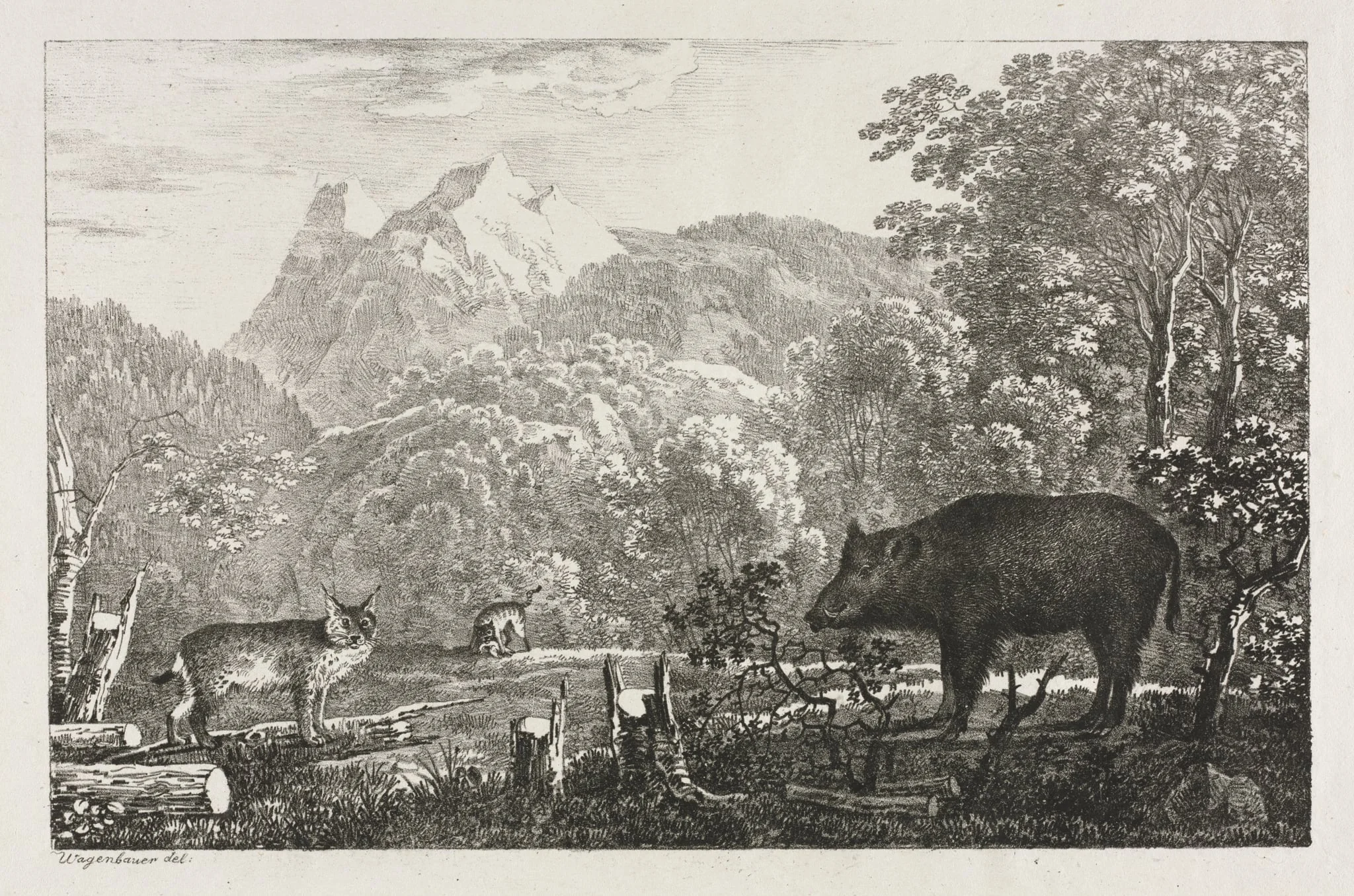 Wild Boar, Wildcat and Lynx, by Maximilian Josef Wagenbauer, 1807