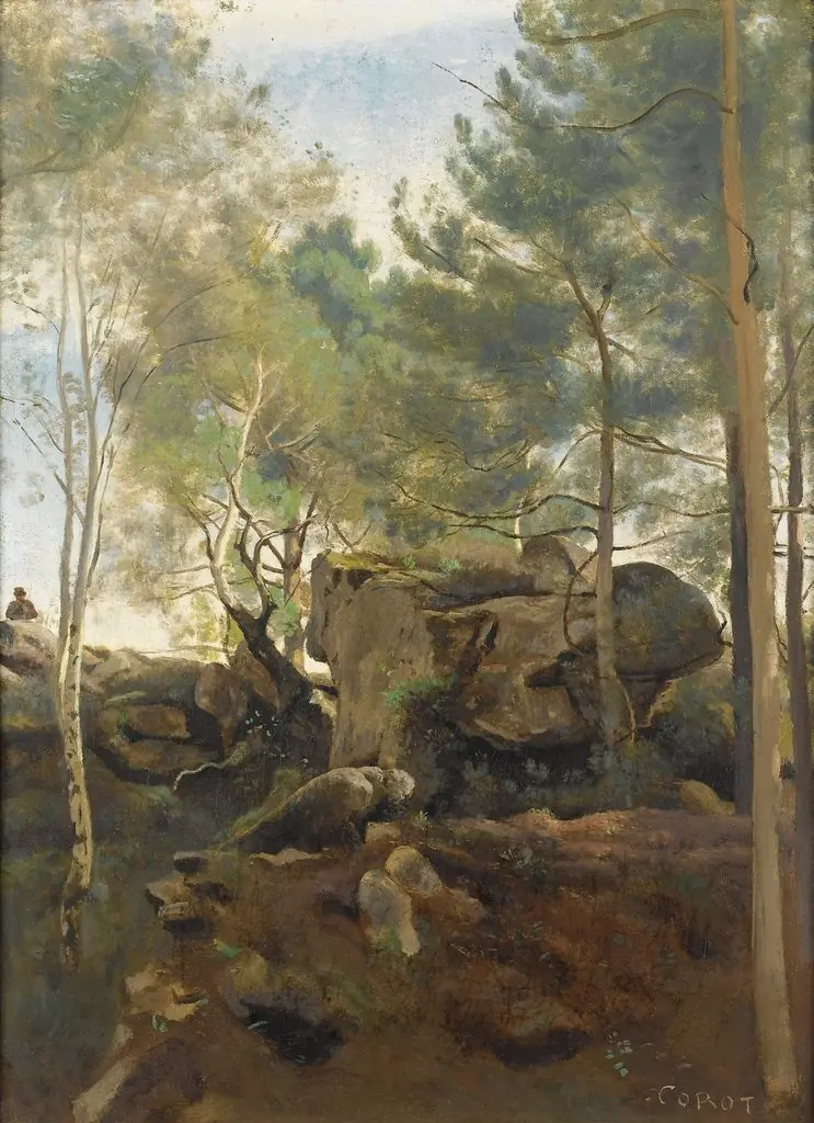 In Fontainebleau Forest. Pines and Birches Among the Rocks