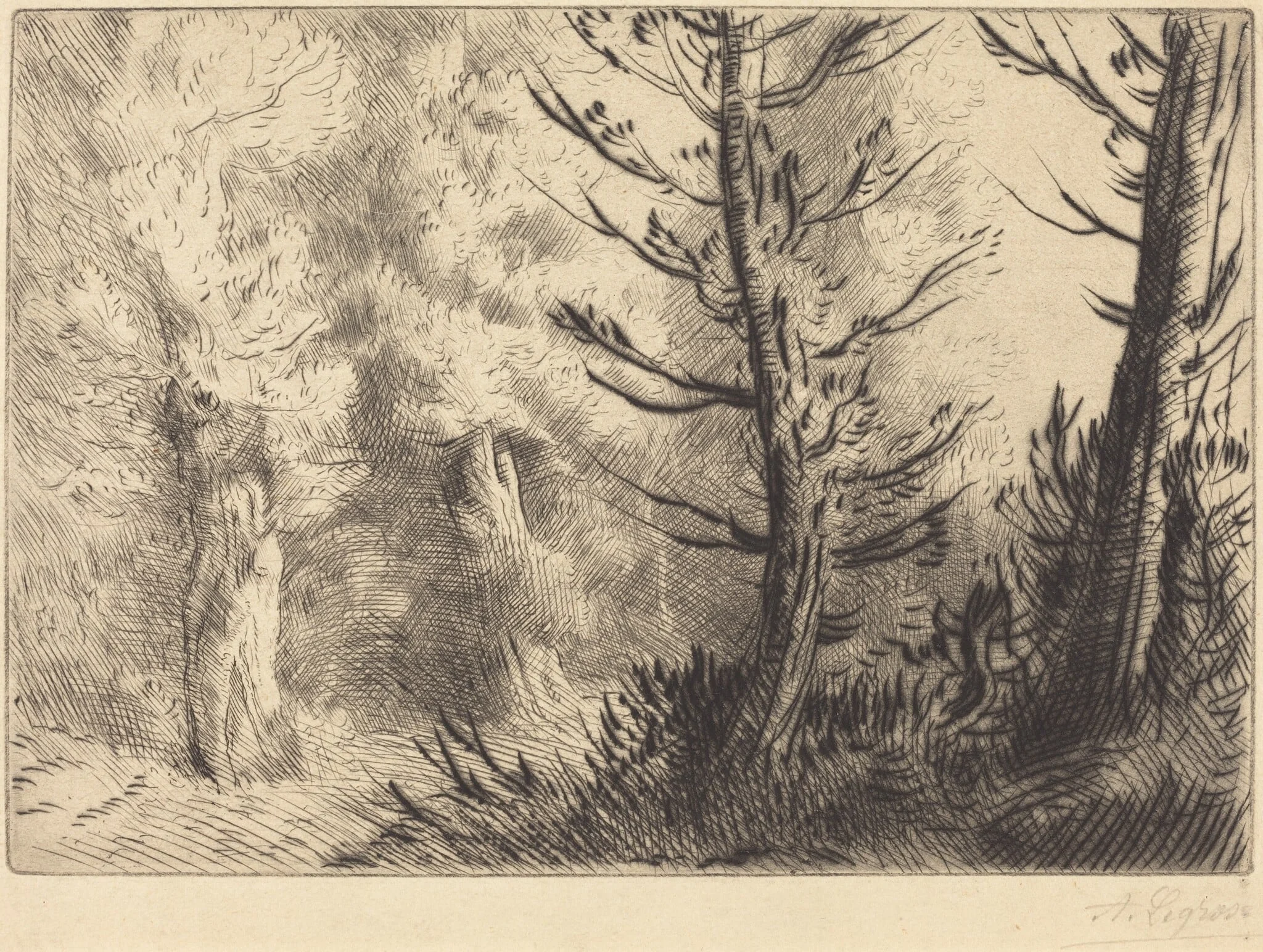In the Forest of Fontainebleau (Dans le foret de Fontainebleau), by Alphonse Legros, ink, 1874