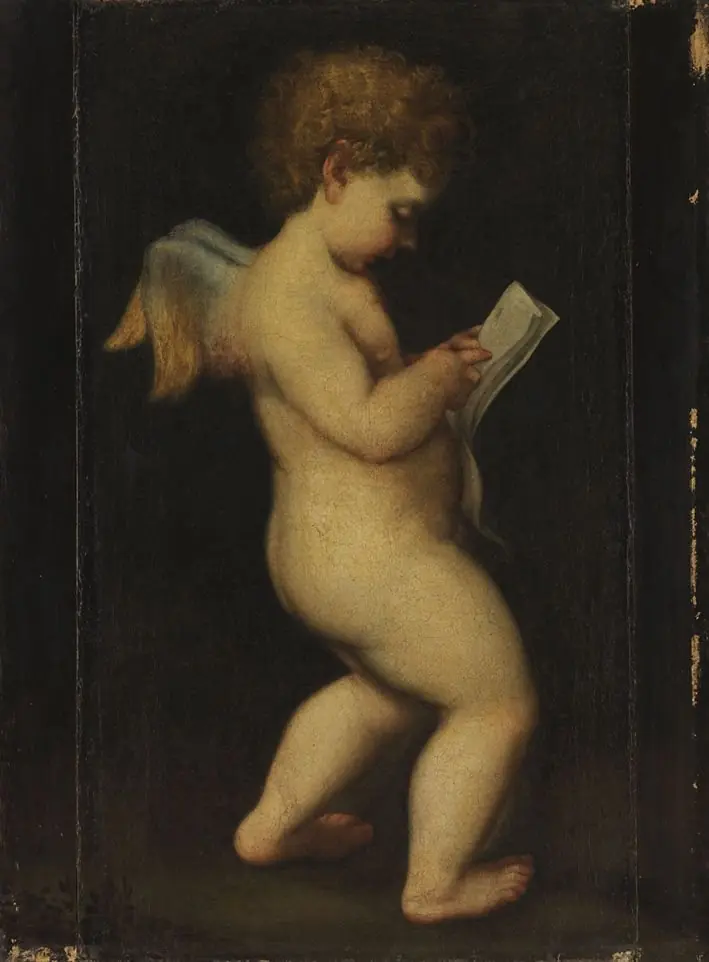 Lesender Amor (Nachfolger)