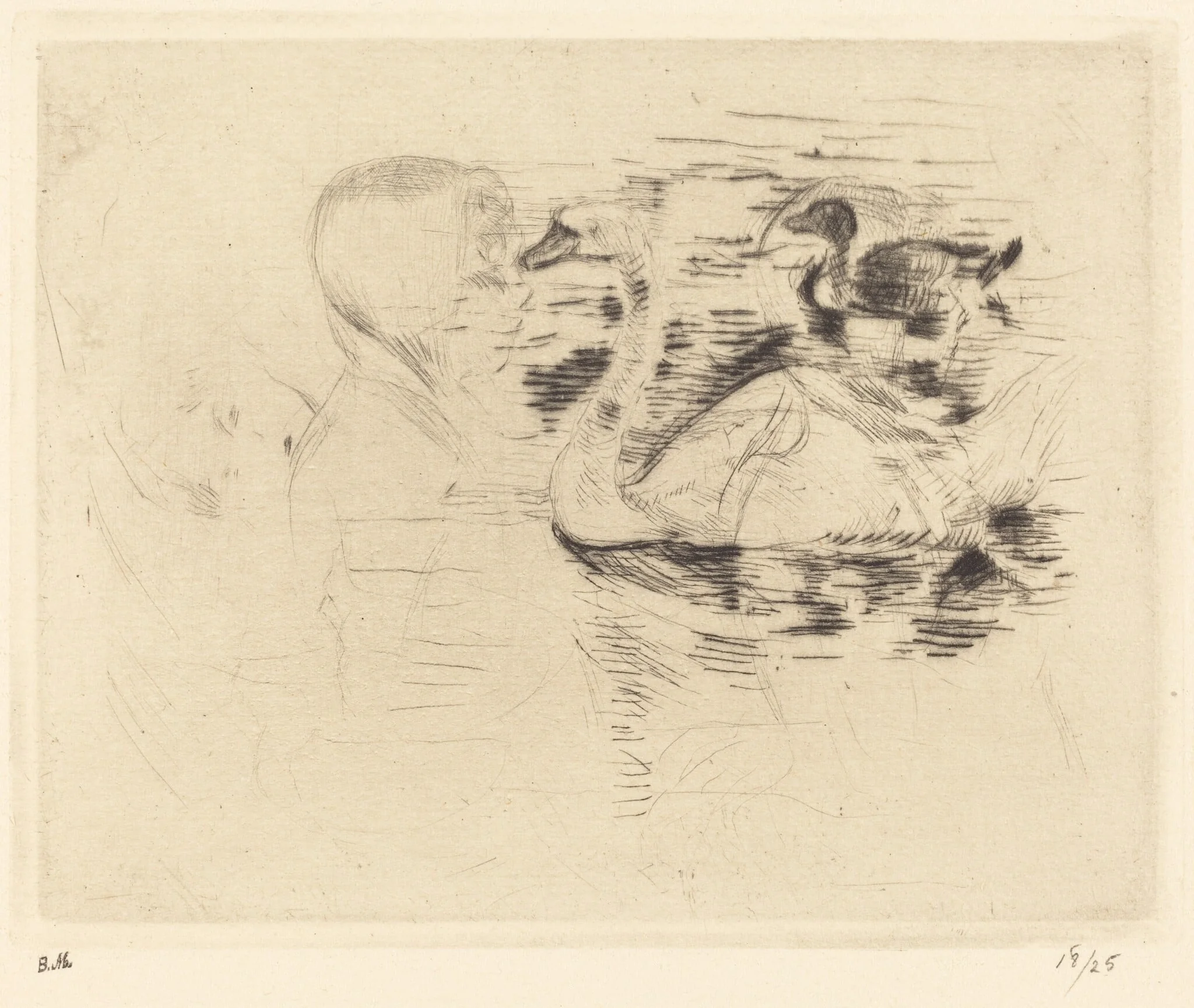 Swans at Stagnant Water, by Berthe Morisot, ink, 1889
