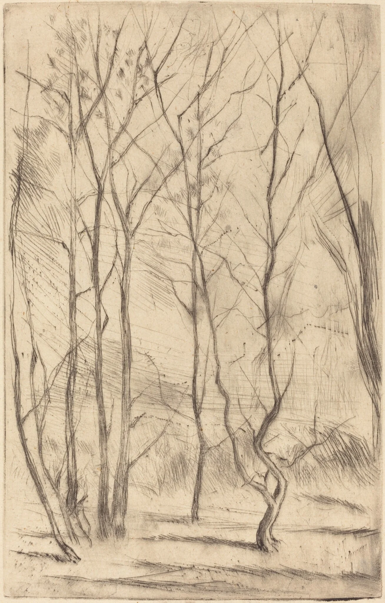 The Dam Wood, by James McNeill Whistler, ink, 1875