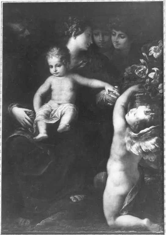 Q29905716