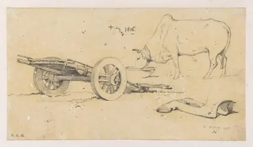 An Indian bullock and cart