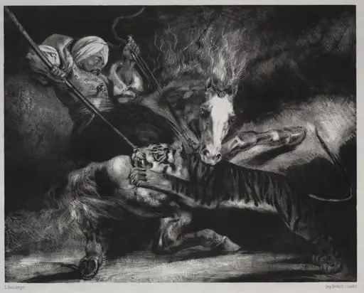 An Attack by a Tiger