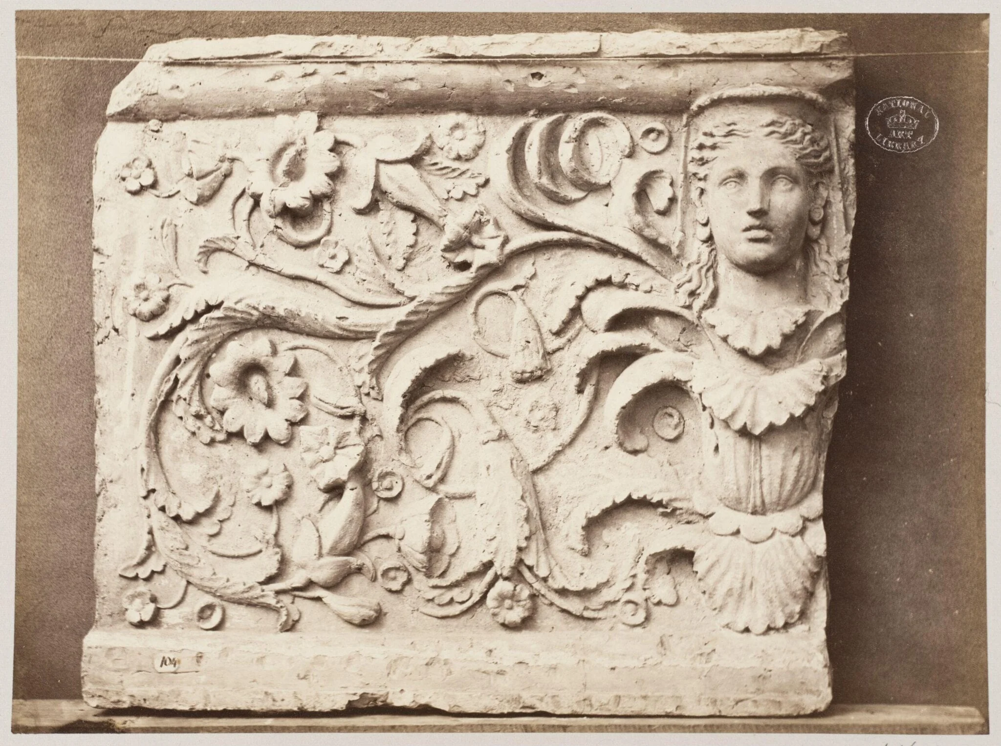 Bas-relief portion of frieze of female head and foliage ornament in terra cotta