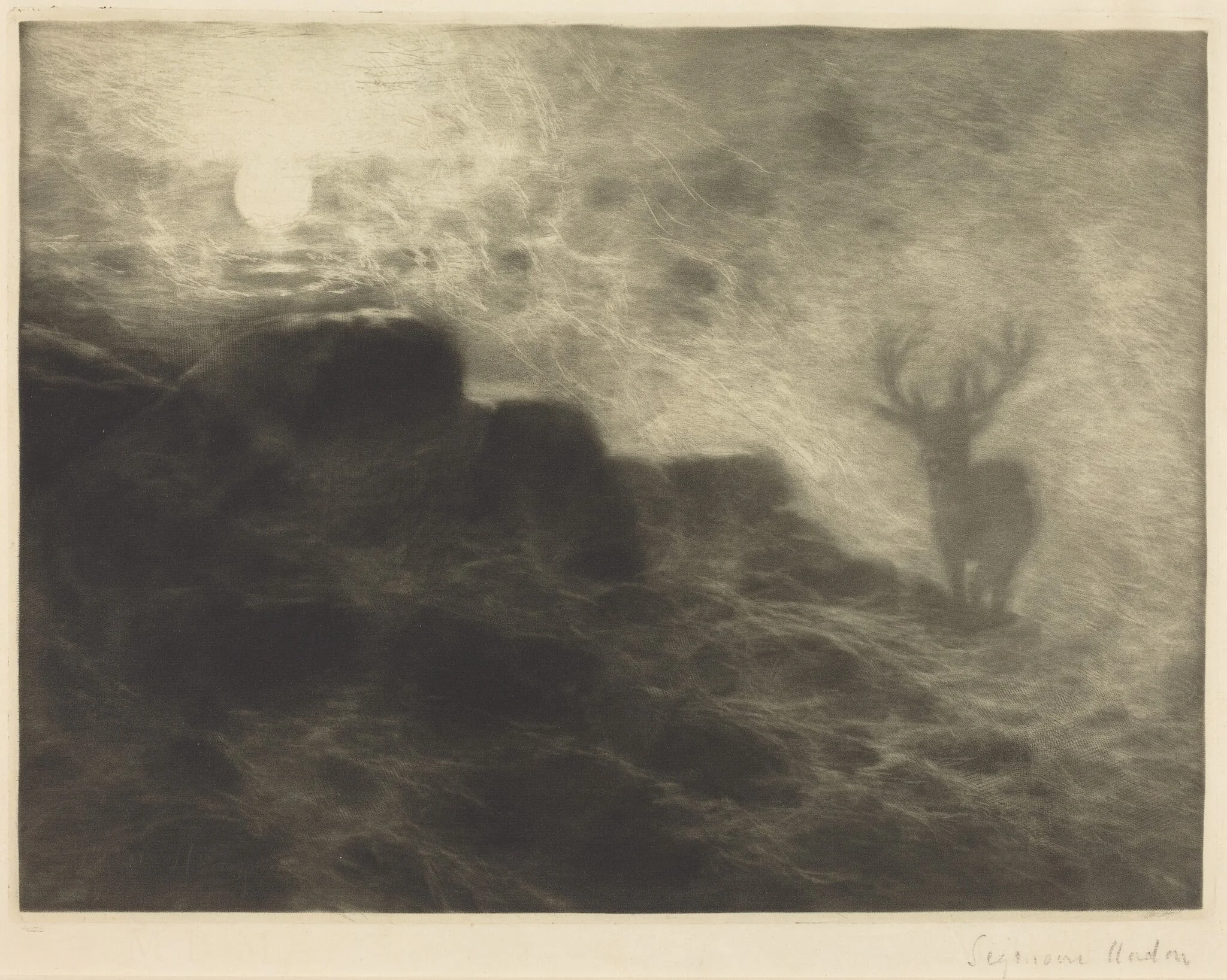 An Early Riser, by Francis Seymour Haden, ink, 1897