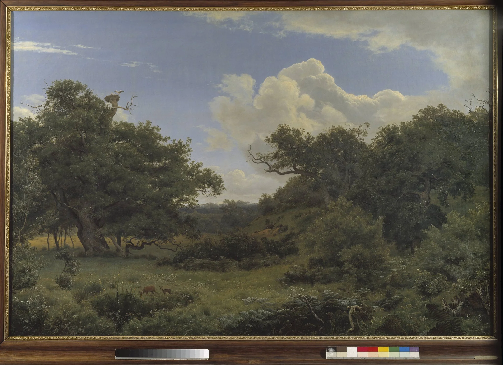 Oak Trees in Nordskoven near Jægerspris, Zealand, by Unknown, 1843