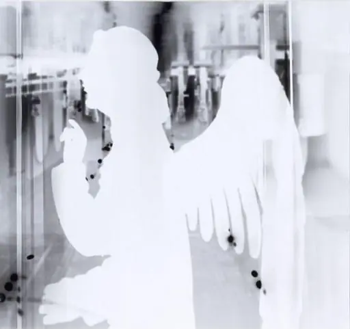 Angel of the Annunciation