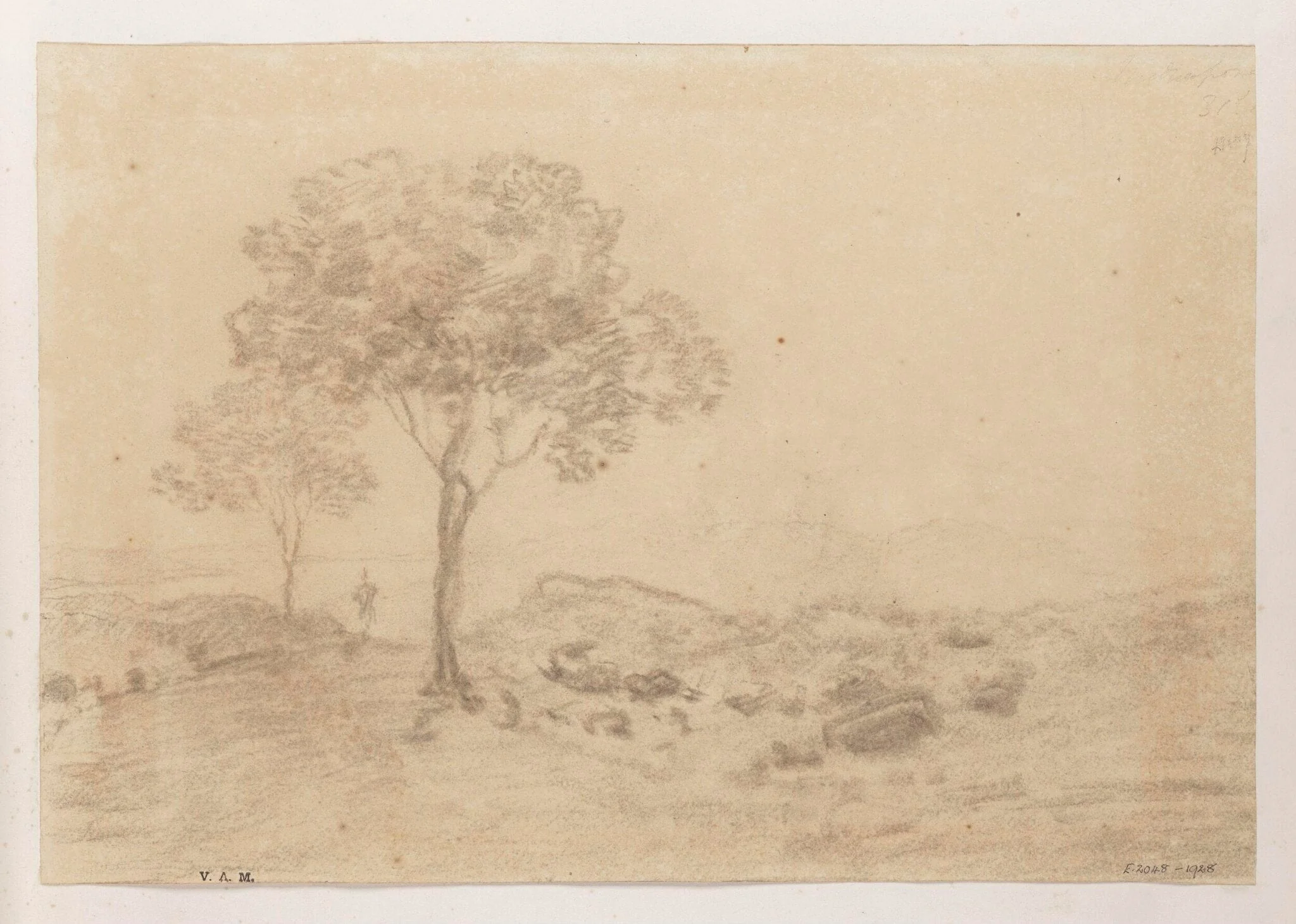 Two trees in a landscape