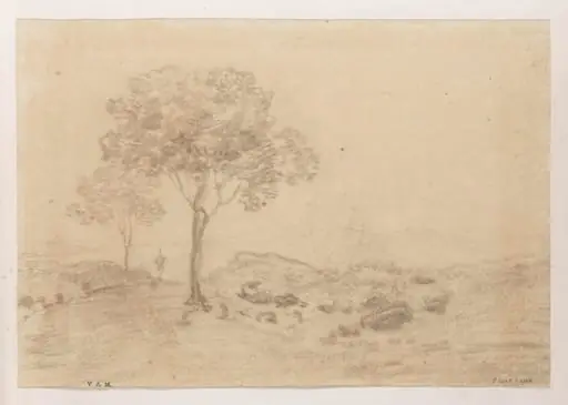Two trees in a landscape