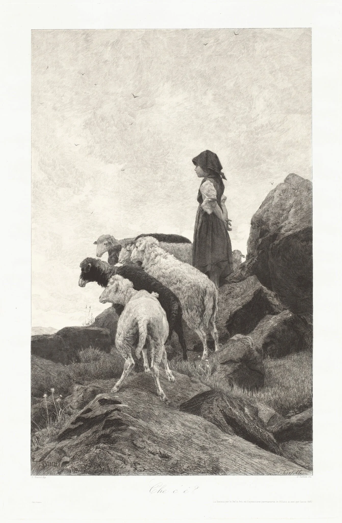 What Is It? (Che c'è?), by Celestino Turletti, ink, 1887