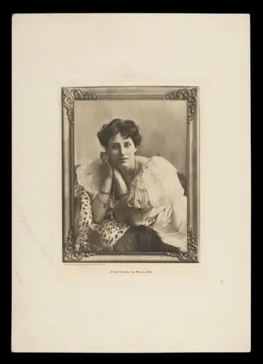 Print Collection
