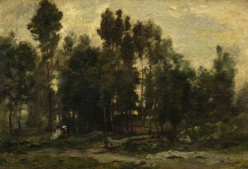 The wood