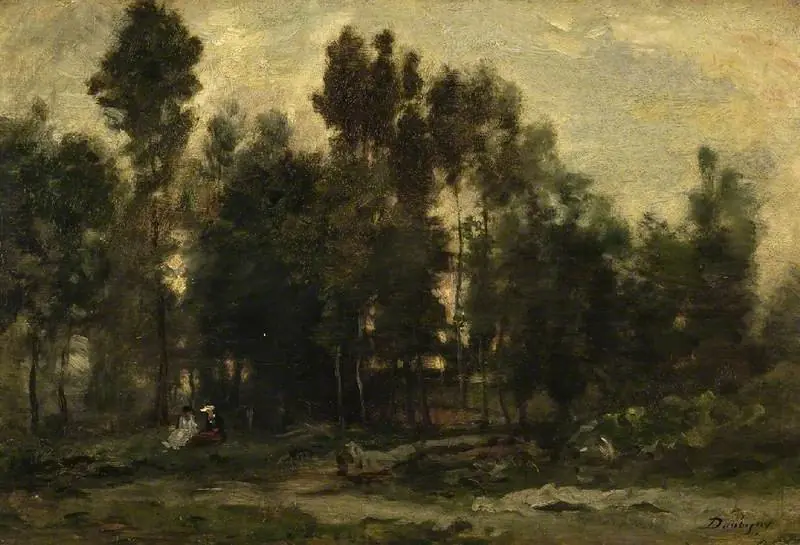 The wood