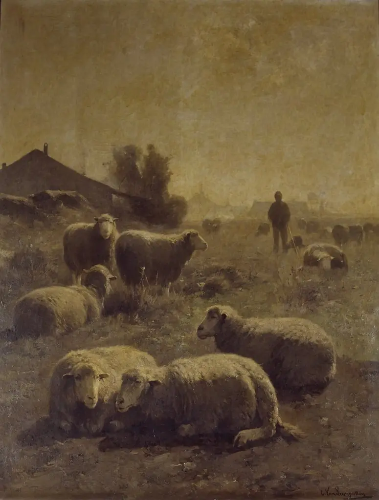 The Flock