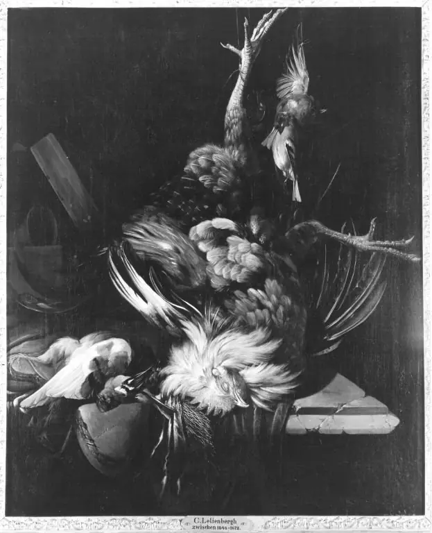 Q30093494