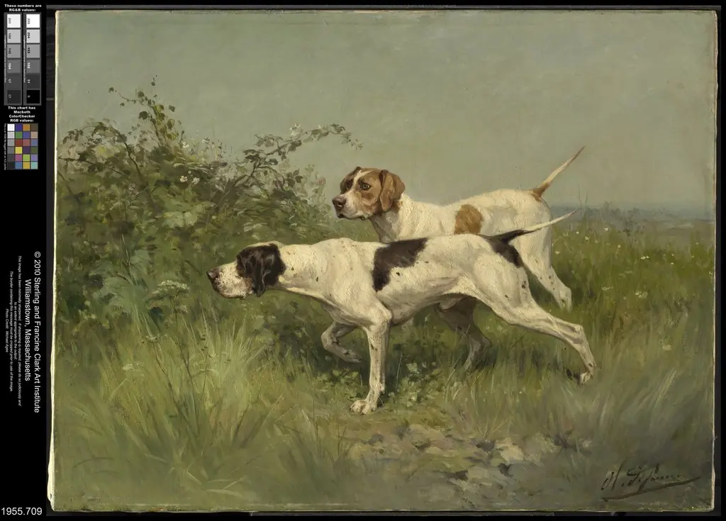 Two Pointers