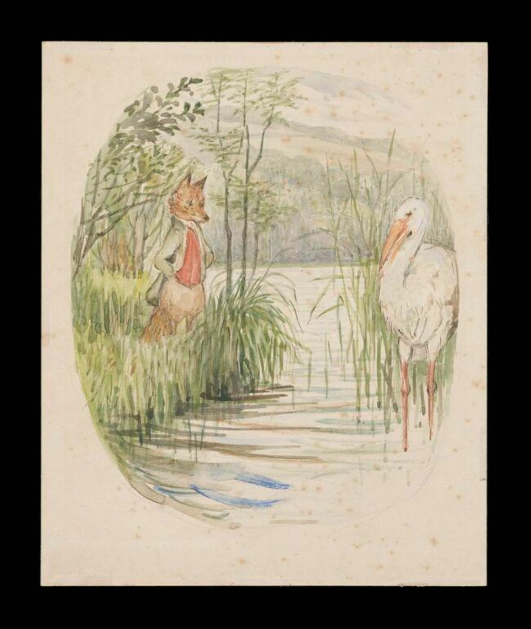 The fox looking over the stream at the stork