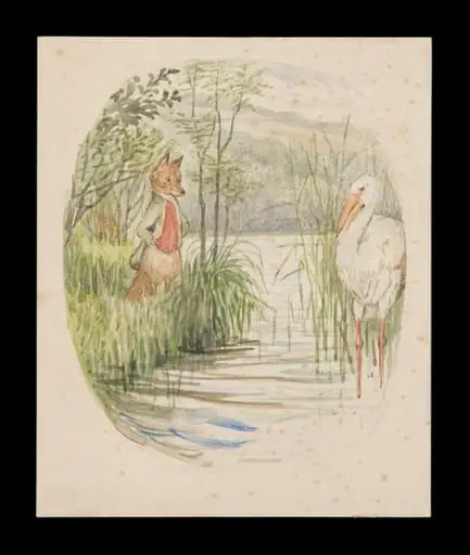 The fox looking over the stream at the stork