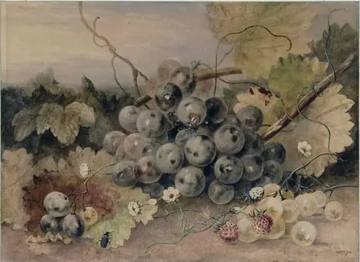 Grapes and Strawberries