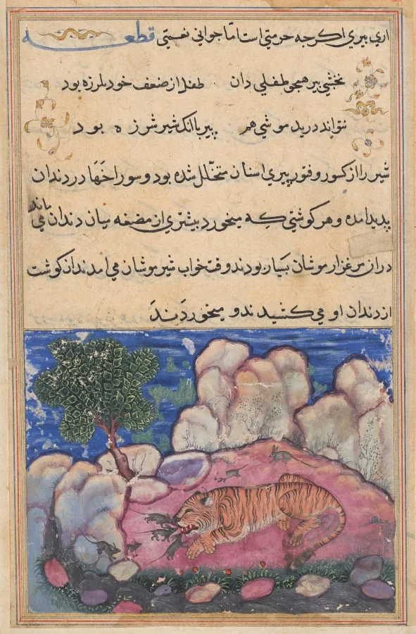 The lion disturbed by mice who eat the food trapped in his aging teeth, from a Tuti-nama (Tales of a Parrot): Fifteenth Night, by Unknown, unspecified, 1560