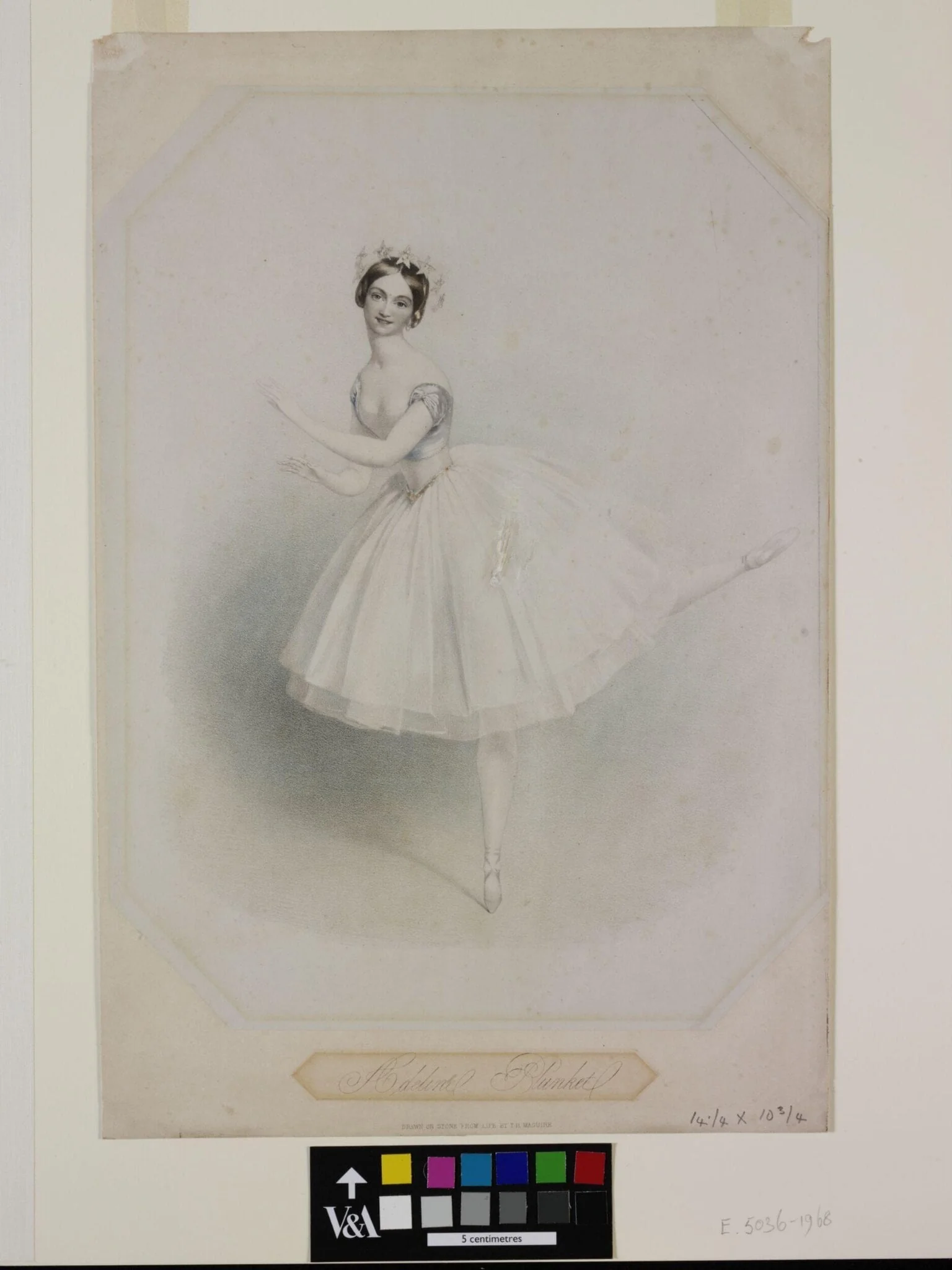 Adeline Plunket